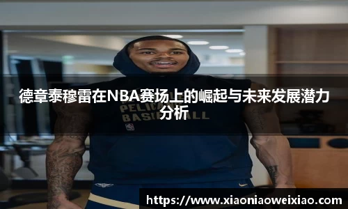 德章泰穆雷在NBA赛场上的崛起与未来发展潜力分析