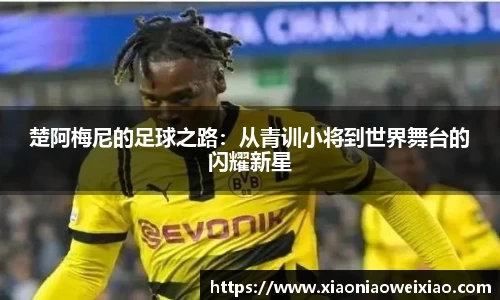 ub8优游平台